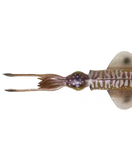 rybolov Umelá nástraha na morský rybolov 3D Swim Squid 125 cm Cuttlefish