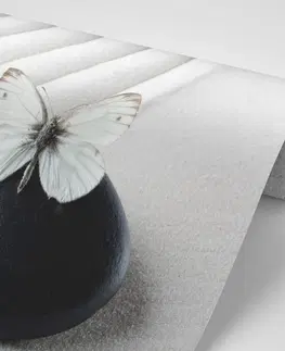 Tapety Feng Shui Tapeta Zen kameň s motýľom