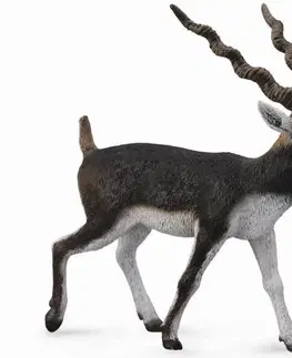 Hračky - figprky zvierat COLLECTA - Antilopa jelenia