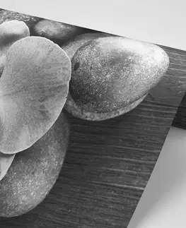 Čiernobiele tapety Fototapeta čiernobiela orchidea a kamene