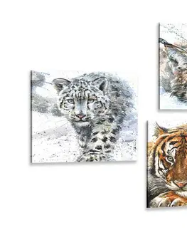 Zostavy obrazov Set obrazov zvieratá v nádhernom akvarelovom prevedení