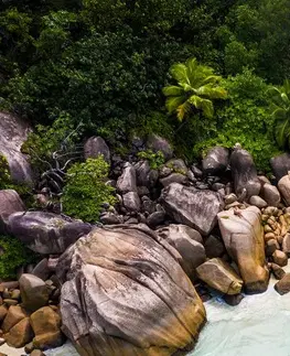 Obrazy prírody a krajiny Obraz pobrežie Seychely