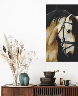 Maľovanie podľa čísiel Obraz maľovanie podľa čísiel nádherný portrét koňa - Horse Portrait