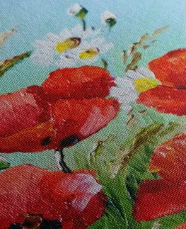 Obrazy kvetov Obraz maľované poľné maky