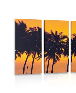 Obrazy prírody a krajiny 5-dielny obraz západ slnka nad palmami