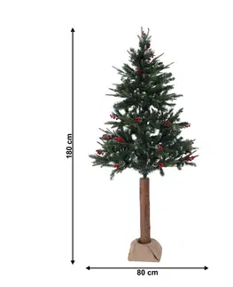 Vianočné stromčeky Vianočný stromček so šiškami na pníku, posnežený, 180 cm, PNIK TYP 1
