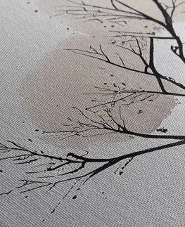 Obrazy stromy a listy Obraz minimalistický strom bez lístia