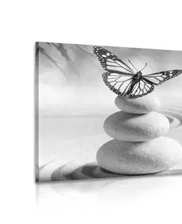 Čiernobiele obrazy Obraz rovnováha kameňov a motýľ v čiernobielom prevedení