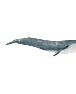 Hračky - figprky zvierat SCHLEICH - Modrá veľryba