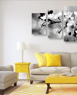 Čiernobiele obrazy 5-dielny obraz čerešňový kvet v čiernobielom prevedení