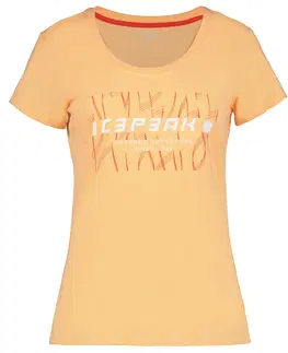 Pánske tričká Icepeak Belcher T-shirt W M