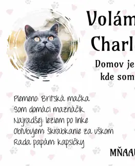 Tabuľky s venovaním (darčeky) Obraz na stenu - Tabuľka o mačke s fotkou, menom a vlastným textom