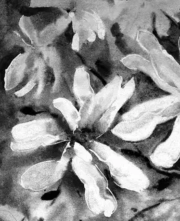 Čiernobiele obrazy Obraz rozkvitnutý akvarelový strom v čiernobielom prevedení