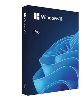 Samolepky na notebooky Microsoft Windows Pro 11 64-bit USB, SK