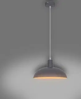 Moderné lampy do obývačky Luster  F19002-1P LW1