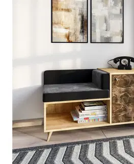 TV stolíky a steny  Viacúčelová lavica ANZER 60x100 cm hnedá/čierna 