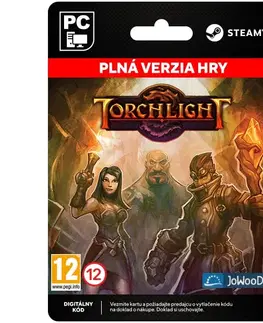 Hry na PC Torchlight [Steam]