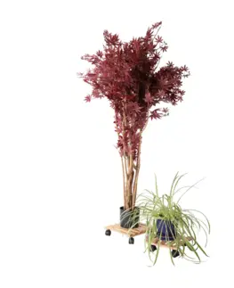 Kvetináče a truhlíky Podstavec pod kvetináč, set 2 ks, s kolieskami, bambus, KOSMA