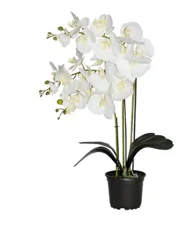 Záhradné dekorácie Prémiová umelá orchidea s 3 výhonkami