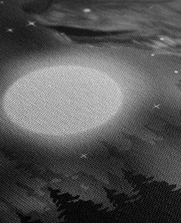 Čiernobiele obrazy Obraz vlčí mesiac v čiernobielom prevedení