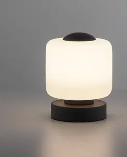 Stolové lampy Paul Neuhaus Stolová LED lampa Bota, stmievateľná, antracitová