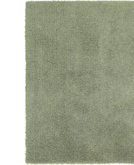 Koberce s vysokým vlasom KOBEREC SHAGGY Stefan 3, 160/230cm, Zelená