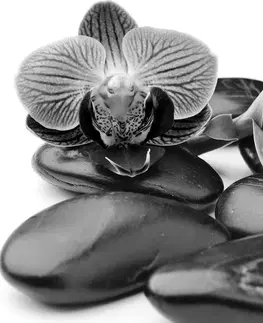 Čiernobiele obrazy Obraz masážne wellness kamene v čiernobielom prevedení