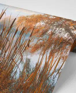 Samolepiace tapety Samolepiaca fototapeta jazero uprostred jesennej prírody