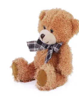 Plyšové hračky RAPPA - Medveď plyšový sediaci 14cm