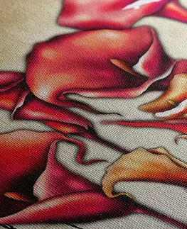 Abstraktné obrazy Obraz červené kvety kaly