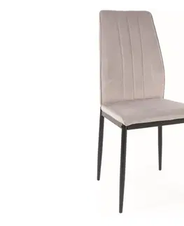 Jedálenské stoličky TOMAN VELVET jedálenská stolička, svetlošedá / čierna