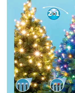 Vianočné dekorácie  LED Vianočná vonkajšia reťaz 100xLED/5 funkcií 10m IP44 teplá biela/multicolor 