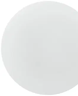 Stropné svietidlá Brilliant Kúpeľňové stropné svietidlo Colden LED, biele, zapínanie/vypínanie, Ø 29 cm