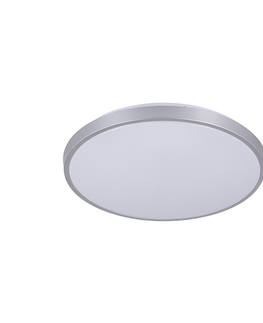 Svietidlá  LED Stmievateľné stropné svietidlo OPAL LED/24W/230V 