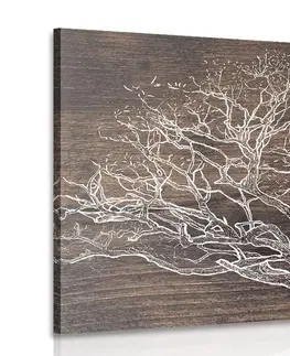 Obrazy stromy a listy Obraz koruna stromu na drevenom podklade