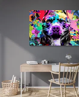 Pop art obrazy Obraz pestrofarebná ilustrácia psa