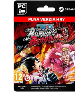 Hry na PC One Piece: Burning Blood [Steam]