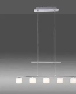 Závesné svietidlá Paul Neuhaus LED závesné svietidlo Hydra, 5-pl., oceľovej farby