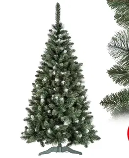 Vianočné dekorácie  Vianočný stromček POLA 150 cm borovica 