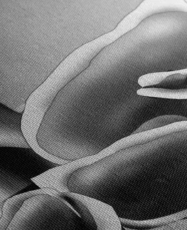 Čiernobiele obrazy Obraz elegantné kvety kaly v čiernobielom prevedení