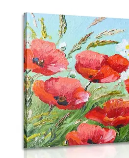 Obrazy kvetov Obraz maľované poľné maky