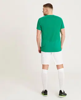 dresy Futbalový dres VIRALTO CLUB s krátkym rukávom zelený