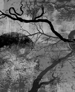 Čiernobiele obrazy Obraz surrealistické stromy v čiernobielom prevedení