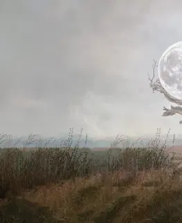 Samolepiace tapety Samolepiaca tapeta mesiac v náručí prírody