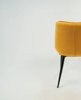 Jedálenské stoličky TRISTE 2 jedálenská stolička, žltý velvet
