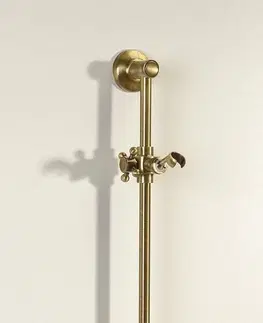 Držadlá k vani SAPHO - ANTEA Posuvný držiak sprchy, 670, bronz SAL0036