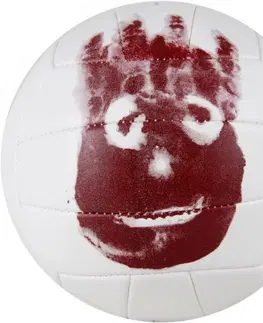 Volejbalové lopty Wilson Mr. Wilson