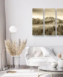 Čiernobiele obrazy 5-dielny obraz zamrznuté hory v sépiovom prevedení