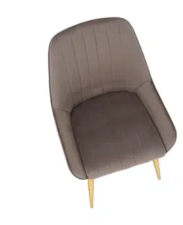 Stoličky Jedálenská stolička, sivohnedá Taupe/gold chróm-zlatý, PERLIA