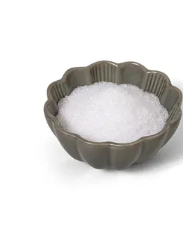 Sladidlá a ochucovadlá Protein & Co. Brezový cukor – xylitol 500 g